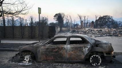 Los Angeles korku filmine döndü! Tarihin en büyüğü