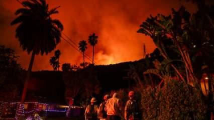 Los Angeles'ta yangınlar durdurulamıyor: Ölü sayısı 24'e yükseldi