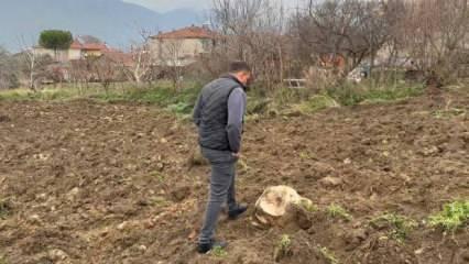 Tarlasını sürerken buldu! Kendisi bile inanamadı 