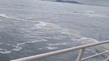 Büyükada kıyılarında müsilaj görüldü