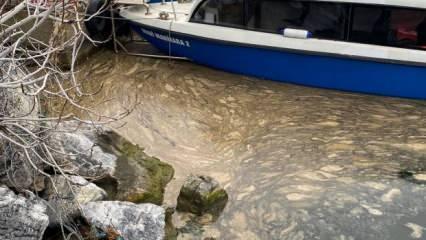 Kadıköy’de deniz yüzeyinde alarm veren görüntü: Beyaz tabaka yayılıyor