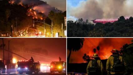 Los Angeles Yangını ve Düşündürdükleri