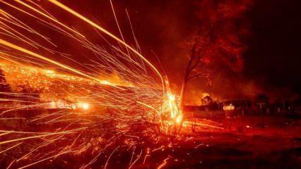 Los Angeles'ta yeni felaket kapıda! "Santa Ana" korkusu