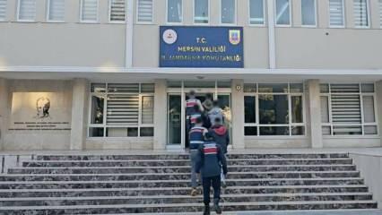 Mersin'de hainlere operasyon: 4 kişi tutuklandı