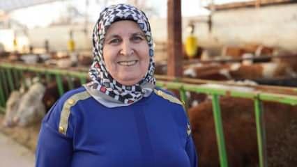 Öz sermayesiyle çiftlik kurdu: Bir inekle başladı hayvan sayısını 780'e çıkardı 