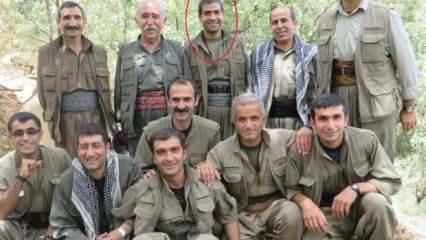 Son dakika: MİT'ten PKK'nın İran yapılanmasına şok darbe! Dotkanlou ve koruması öldürüldü