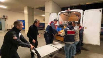 Kocaeli&rsquo;de ormanlık alanda kan donduran cinayet: Kulakları ve dili kesildi