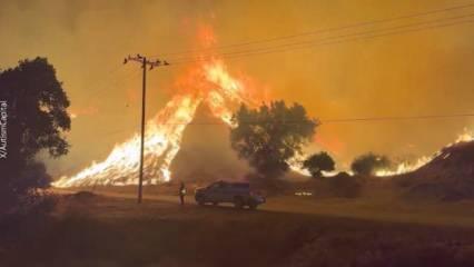 Los Angeles'taki yangın hızla yayılıyor: 30 binden fazla kişi için tahliye emri çıkarıldı