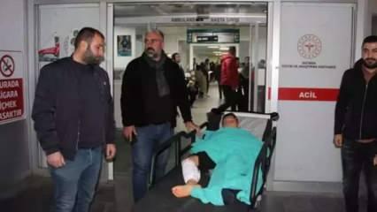 Batman'da ailesiyle pikniğe giden çocuğa sokak köpeklerinden saldırı