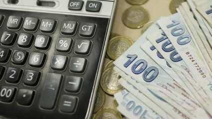 Kalkınma ajanslarının 2025 yılı ödeneği belli oldu