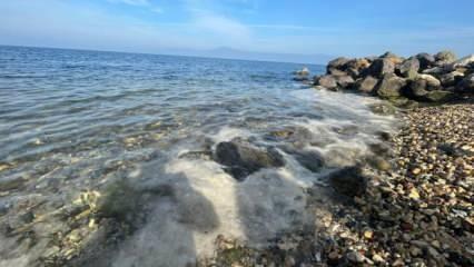 Mudanya'da balıkçılara müsilaj engeli