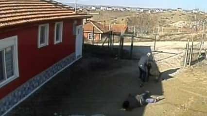 Rottweiler cinsi köpeğin dehşet veren saldırısı kamerada: 3 yaralı