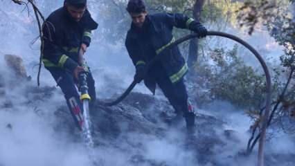 Antalya'da korkutan orman yangını: Çok sayıda ekip müdahale ediyor!