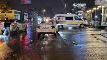 Bungolav tatiline geldi, silahla vurularak öldürüldü!