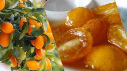 C vitamini deposu "altın mandalina" ile tatlı lezzet: Kamkat reçeli tarifi