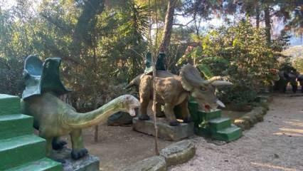 Dinopark'taki g&ouml;r&uuml;nt&uuml;ler kızdırmıştı! Mescidin kapısına kilit asıldı