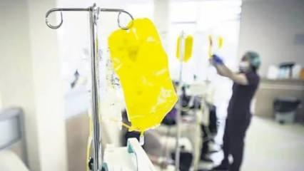 'Sarı kabus' devam ediyor: İstanbul'da 1 can daha aldı!