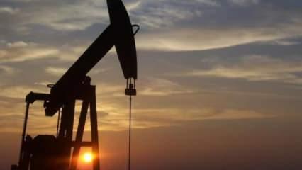 ABD'nin ticari ham petrol stokları 4,1 milyon varil arttı