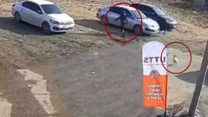 Böyle kovalamaca görülmedi! Horoz kapıya gelen görevliye bakın ne yaptı!