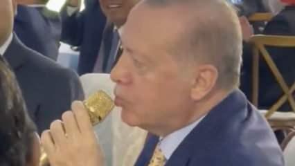Cumhurbaşkanı Erdoğan, Endonezya'da mehter marşına eşlik etti