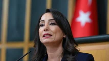 DEM Parti’den açıklama! Öcalan’ın çağrısı 15 Şubat’ta mı yapılacak?