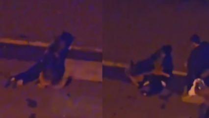 Giresun'da başıboş köpek, kadını boğazından kaptı! Korkunç görüntü