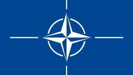 NATO’nun Kolektif Savunma Kapasitenin Bugünü ve Müttefiklik Ruhunun Çelişkileri