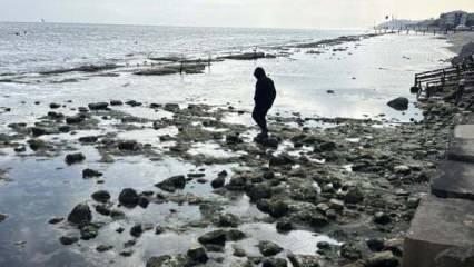 Tekirdağ'da deniz 10 metre çekildi 'Kral Yolu' ortaya çıktı!