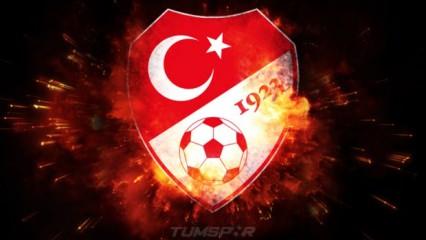 TFF sahadan çekilmenin yeni cezasını açıkladı!