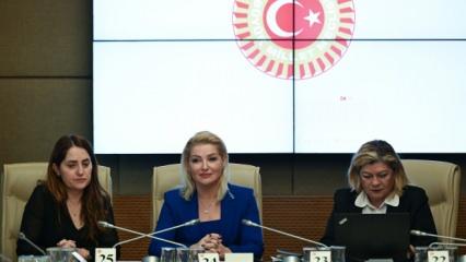 Zahide Yetiş'in katıldığı komisyonda, DEM Partililer salonu terk etti