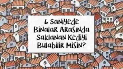 6 saniyede binaların arasında saklanan kediyi bulabilir misiniz?