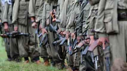 Bir ülkeden PKK itirafı! Avrupa'nın göbeğinde terör karargahı: Türk ordusuna karşı...