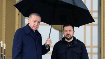 Erdoğan-Zelenskiy görüşmesinde dikkat çeken görüntü! ‘Ukrayna'ya Türk şemsiyesi’ 