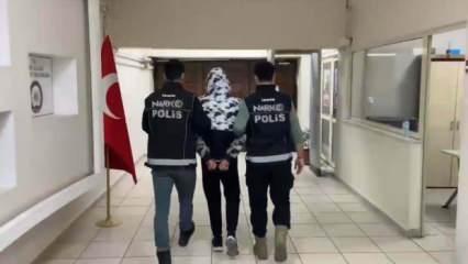 İzmir'de 102 kilo 50 gram bonzai ele geçirildi