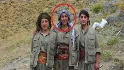 MİT'ten nokta operasyon: PKK'lı iki terörist etkisiz hale getirildi!