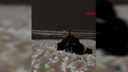 Samsun’da 2 genç soğuğa aldırış etmeden denize girdi