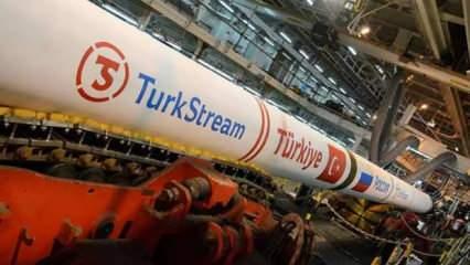 TürkAkım üzerinden Avrupa'ya Rus gazı sevkiyatında yeni rekor