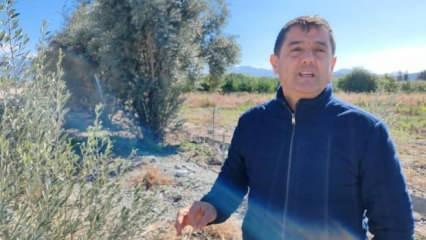 Yer: Hatay! Fidan hırsızları çiftçiyi çileden çıkarttı 