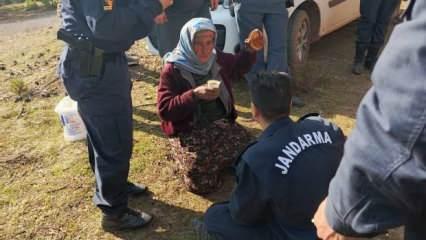 Hayvan otlatmak için gittiği ormanda kaybolan 75 yaşındaki kadından haber var