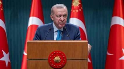 Cumhurbaşkanı Erdoğan: AB'yi çıkmazdan sadece Türkiye kurtarır