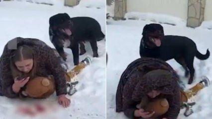 Köpek dehşeti! Anne ve çocuğuna saldıran vahşi köpek herkesi korkuttu