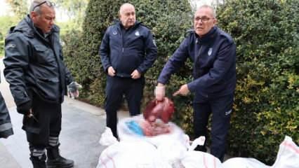 Otobüs terminalinde çuvallarda taşınan 1,5 ton ciğer imha edildi