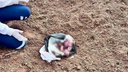 Şırnak'ta tüyler ürperten bebek cinayeti! Katil anne çıktı: İple boğup...
