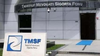 TMSF iki enerji şirketindeki paylarını satışa çıkardı