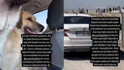 2 yaşındaki bebeğin &ouml;ld&uuml;r&uuml;lmesi sonrası başıboş k&ouml;pekleri ka&ccedil;ırdılar