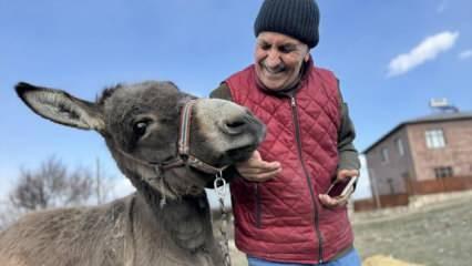 Arkadaşı eşek ile 21 yılı devirdi! Turan emminin vicdanlı davranışına destek yağdı!