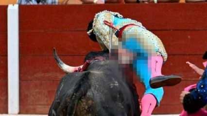 Görüntüler dehşet verici! Boğa, matadoru makatından boynuzladı 