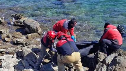 İzmir'de feci olay: Otomobil denize düştü, acı haber geldi!