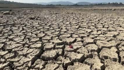 Kuraklık 2025'te de dünyanın birçok bölgesi için risk oluşturuyor