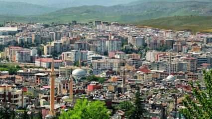 TÜİK tek tek listeledi! Suç oranı en düşük ve en yüksek il: Şaşırtan sonuç...